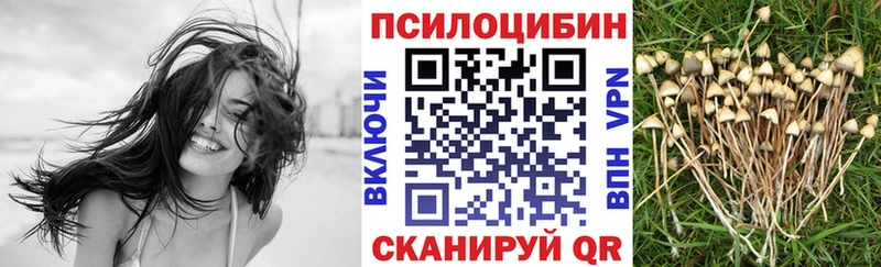 Псилоцибиновые грибы MAGIC MUSHROOMS Шилка